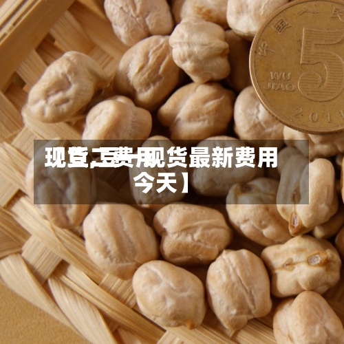 【豆二费用现货,豆一现货最新费用今天】-第2张图片