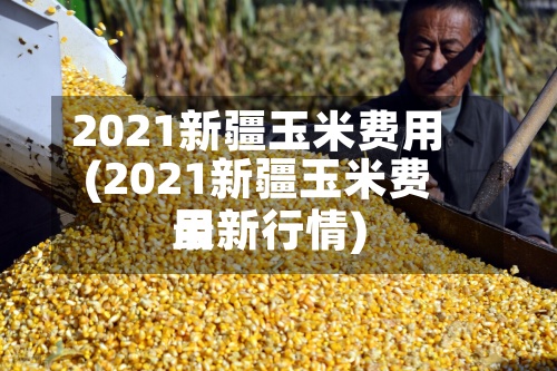 2021新疆玉米费用(2021新疆玉米费用最新行情)