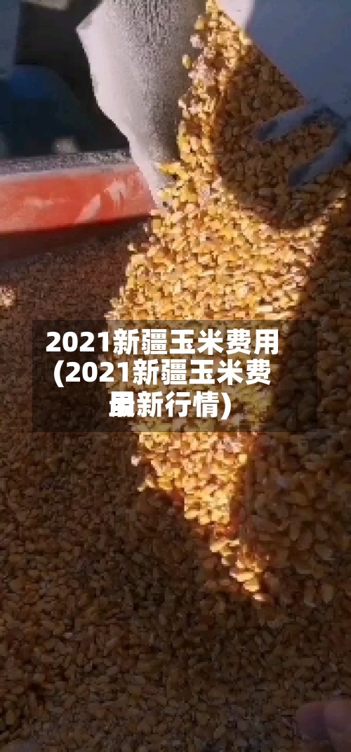 2021新疆玉米费用(2021新疆玉米费用最新行情)-第3张图片
