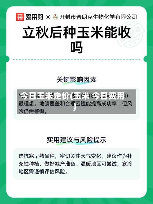 今日玉米走价(玉米 今日费用)
