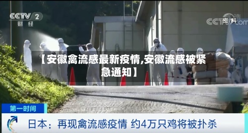 【安徽禽流感最新疫情,安徽流感被紧急通知】