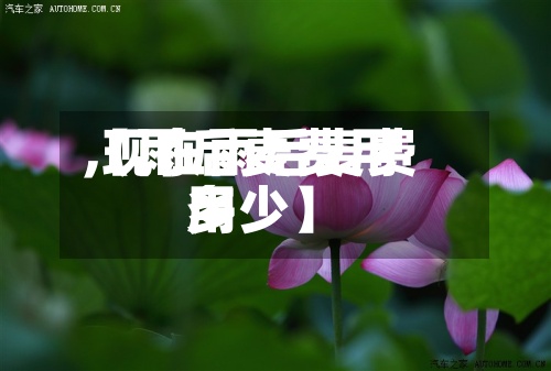 【雨后麦费用,现在雨后麦费用多少】-第2张图片