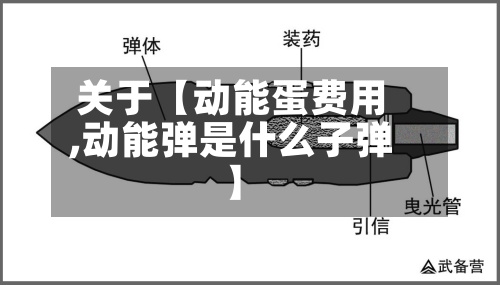 关于【动能蛋费用,动能弹是什么子弹】