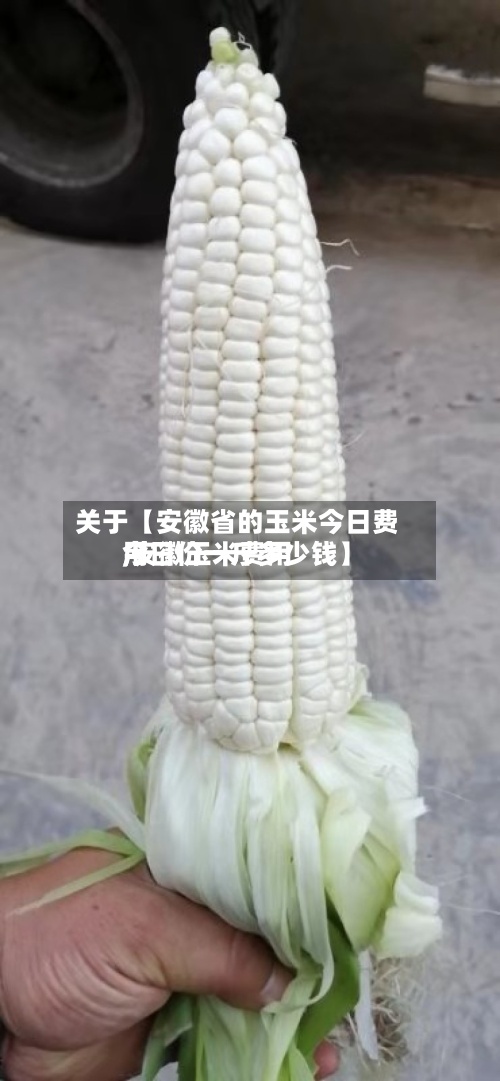 关于【安徽省的玉米今日费用,安徽玉米费用今日价一斤多少钱】-第2张图片