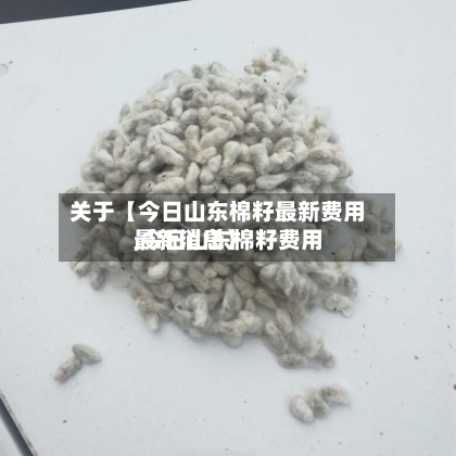 关于【今日山东棉籽最新费用,今日山东棉籽费用最新消息】