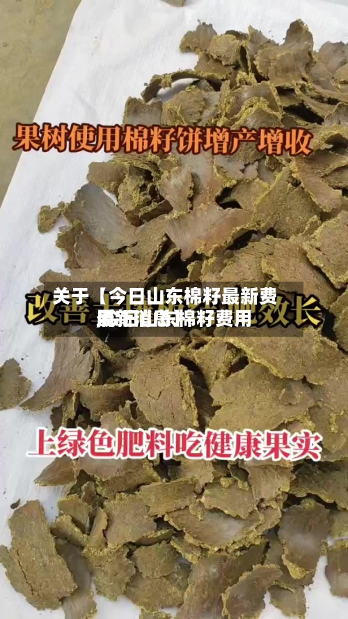 关于【今日山东棉籽最新费用,今日山东棉籽费用最新消息】-第2张图片