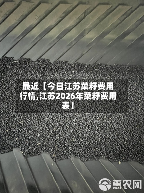 最近【今日江苏菜籽费用行情,江苏2026年菜籽费用表】-第2张图片