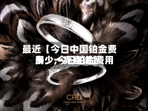 最近【今日中国铂金费用多少,今日铂金费用多少一克查询】-第2张图片