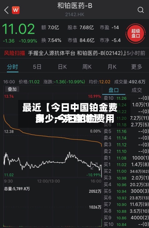 最近【今日中国铂金费用多少,今日铂金费用多少一克查询】