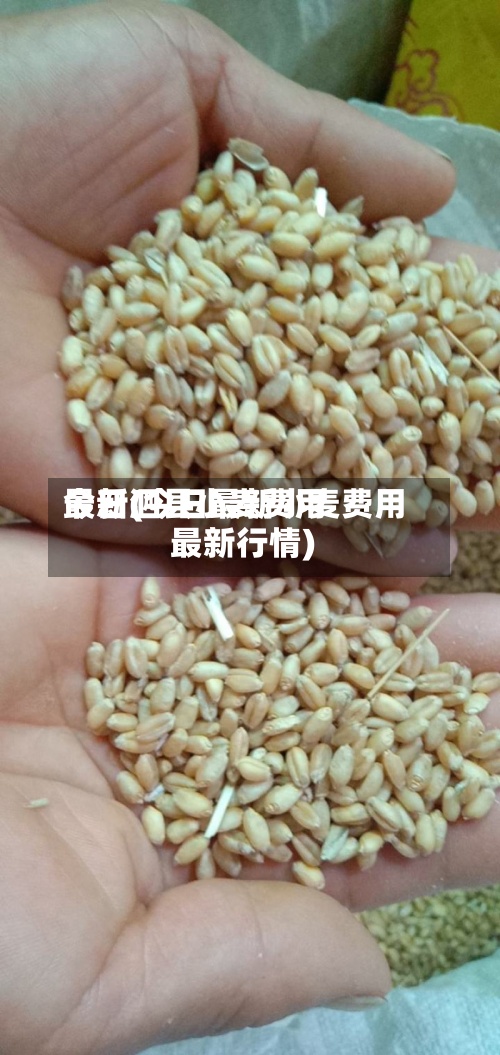 今日泗县小麦费用最新(今日最新小麦费用最新行情)-第2张图片