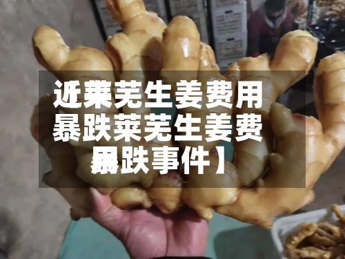近来【莱芜生姜费用暴跌莱芜生姜费用暴跌事件】-第2张图片