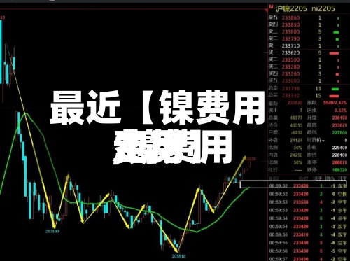最近【镍费用费用,镍费用费用走势】-第2张图片