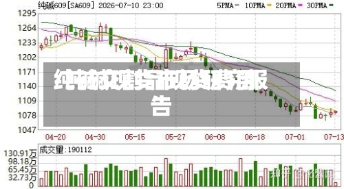 纯碱交割品现货费用/纯碱现货市场研究报告-第2张图片