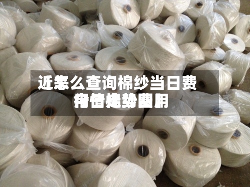 近来【怎么查询棉纱当日费用今日棉纱费用行情走势图】-第2张图片