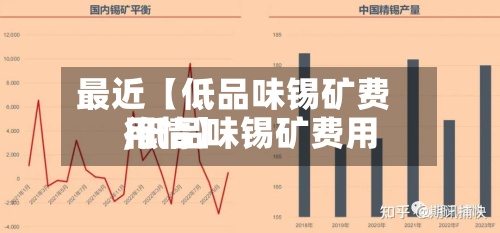 最近【低品味锡矿费用,低品味锡矿费用行情】