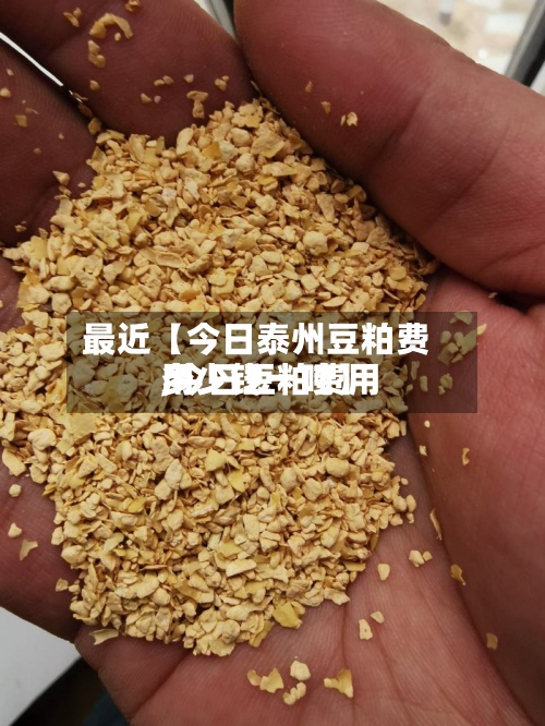 最近【今日泰州豆粕费用,今日豆粕费用多少钱一吨】-第2张图片