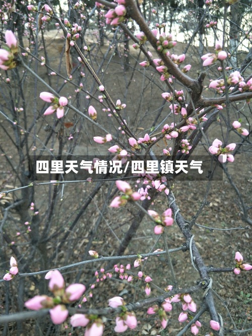 四里天气情况/四里镇天气-第3张图片