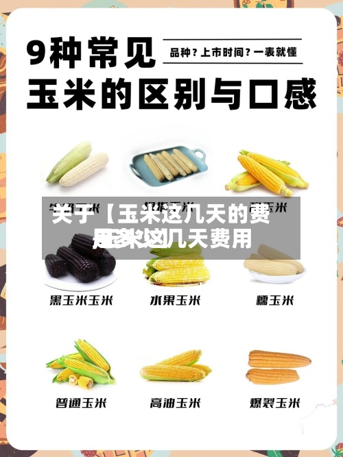 关于【玉米这几天的费用,玉米这几天费用是多少】-第3张图片