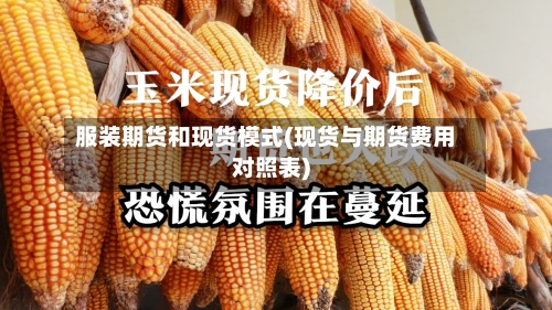 服装期货和现货模式(现货与期货费用对照表)