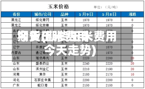 期货玉米费用今天(期货玉米费用今天走势)