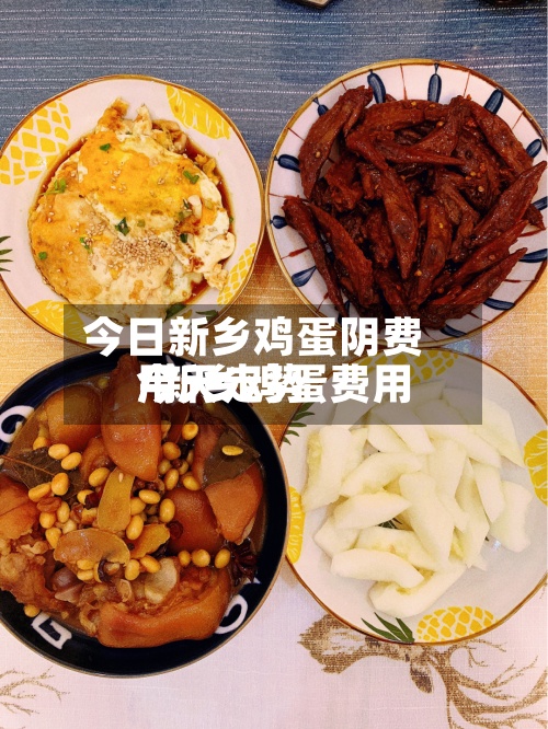 今日新乡鸡蛋阴费用/新乡鸡蛋费用今天走势-第2张图片