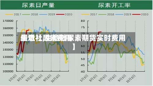 最近【尿素费用生意社,生意社尿素期货实时费用】-第2张图片