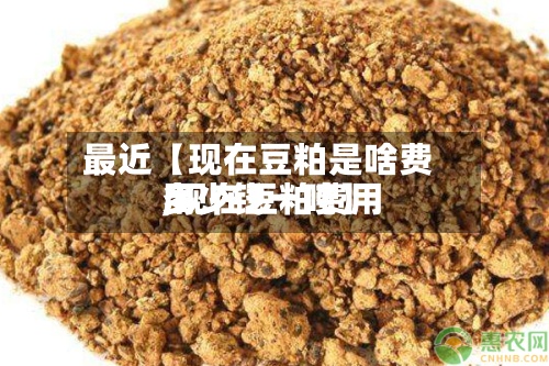 最近【现在豆粕是啥费用,现在豆粕费用多少钱一吨】-第3张图片