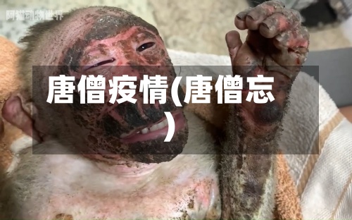 唐僧疫情(唐僧忘)-第3张图片