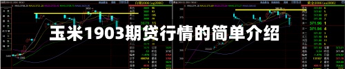 玉米1903期贷行情的简单介绍