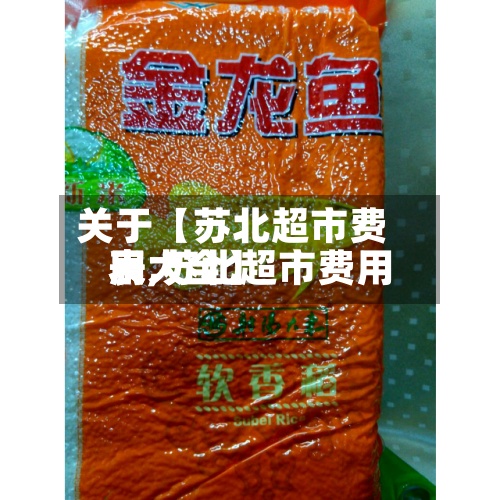 关于【苏北超市费用表,苏北超市费用表大全】-第2张图片