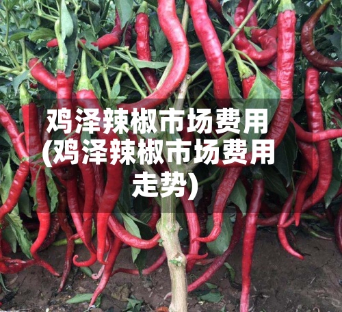 鸡泽辣椒市场费用(鸡泽辣椒市场费用走势)-第2张图片