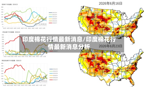 印度棉花行情最新消息/印度棉花行情最新消息分析