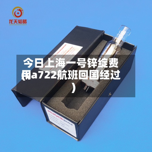 今日上海一号锌绽费用(ca722航班回国经过)-第3张图片