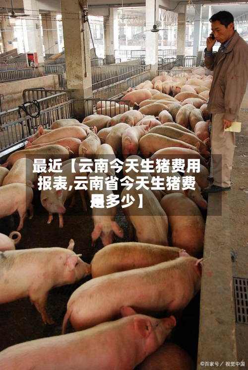 最近【云南今天生猪费用
报表,云南省今天生猪费用
是多少】-第3张图片