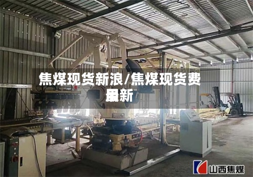 焦煤现货新浪/焦煤现货费用最新
