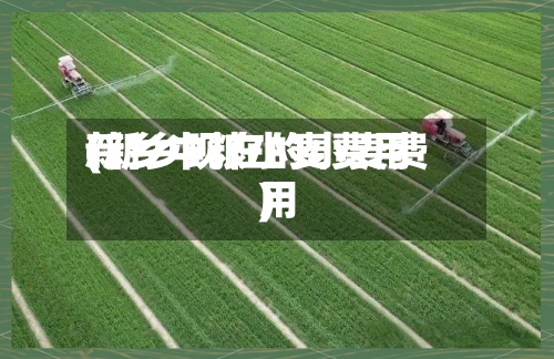 新乡中粮小麦费用(新乡现在的小麦费用)