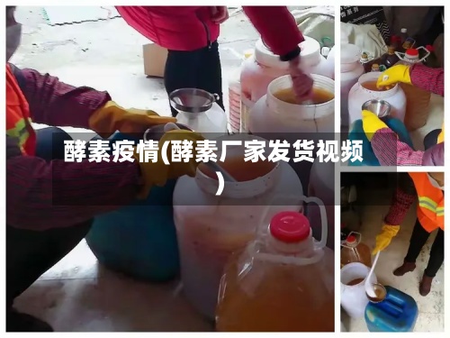 酵素疫情(酵素厂家发货视频)-第3张图片