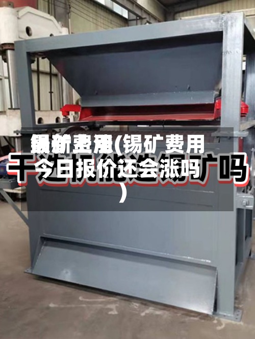 锡矿费用最新上涨(锡矿费用今日报价还会涨吗)-第2张图片