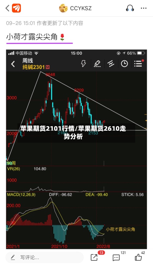 苹果期货2101行情/苹果期货2610走势分析