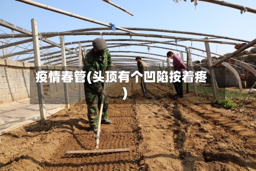 疫情春管(头顶有个凹陷按着疼)-第2张图片