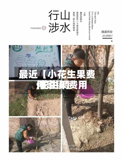 最近【小花生果费用,花生果费用付家镇】-第2张图片