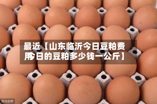 最近【山东临沂今日豆粕费用,今日的豆粕多少钱一公斤】