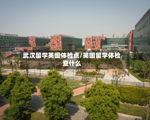 武汉留学英国体检点/英国留学体检查什么-第2张图片