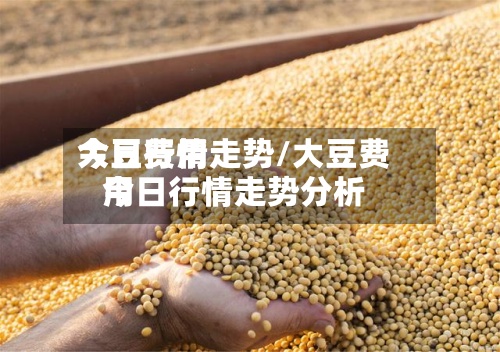 大豆费用今日行情走势/大豆费用今日行情走势分析-第2张图片