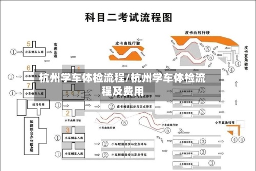 杭州学车体检流程/杭州学车体检流程及费用-第2张图片