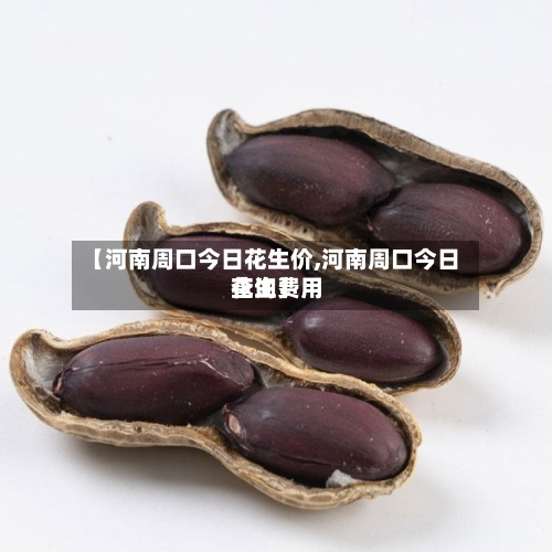 【河南周口今日花生价,河南周口今日花生费用查询】-第3张图片