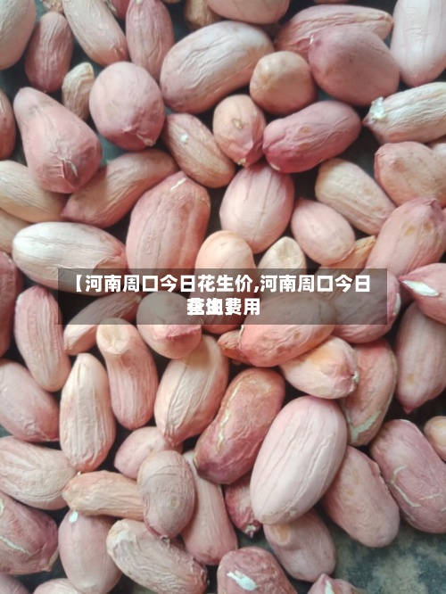 【河南周口今日花生价,河南周口今日花生费用查询】-第2张图片