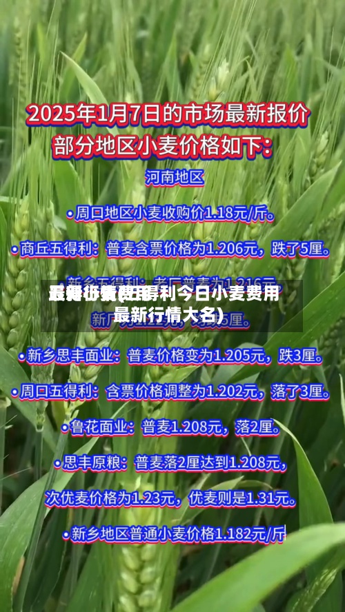 五得小麦费用最新行情(五得利今日小麦费用最新行情大名)