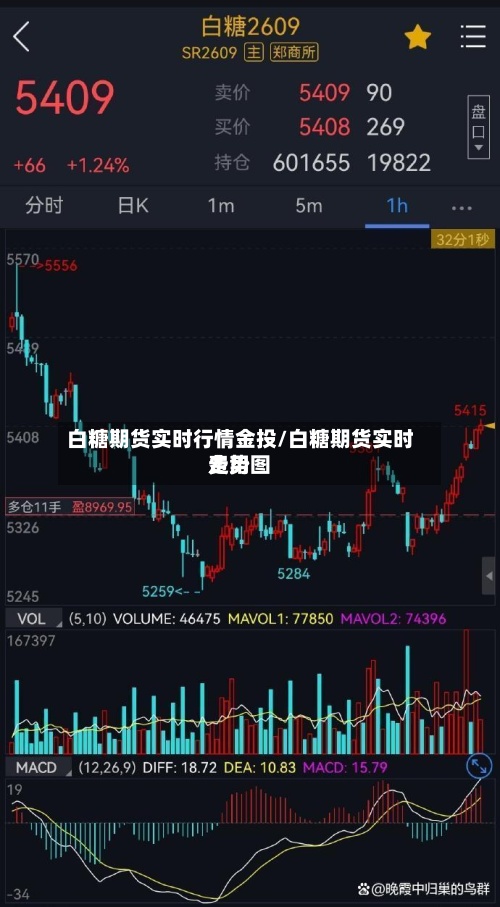 白糖期货实时行情金投/白糖期货实时费用走势图-第3张图片