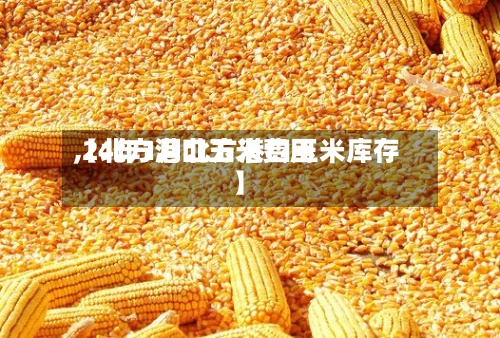 【北方港口玉米费用,24年1月北方港口玉米库存】-第2张图片